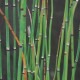 EQUISETUM hyemale