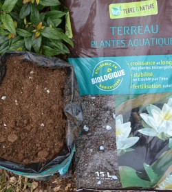 Terreau plantes aquatiques