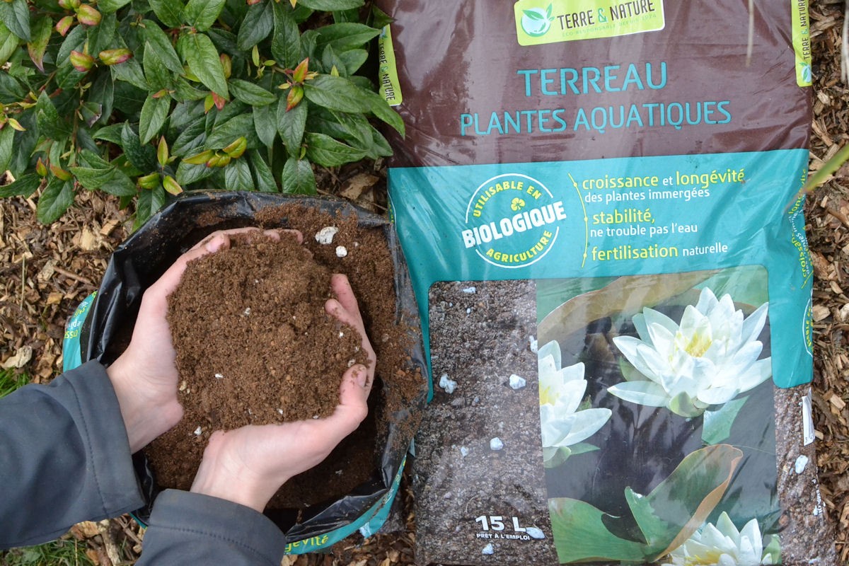 Terreau pour plante aquatique