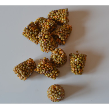 Engrais &agrave; diffusion lente - Osmocote