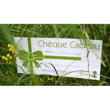 Ch&egrave;que cadeau