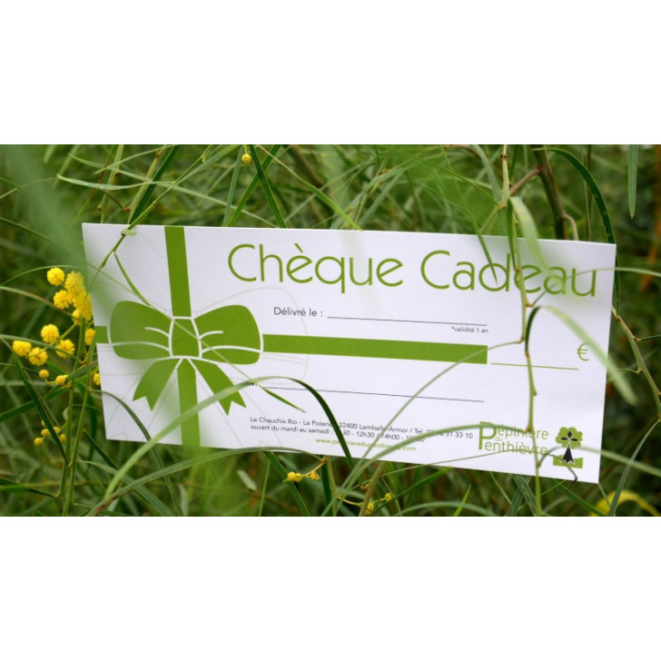 Ch&egrave;que cadeau