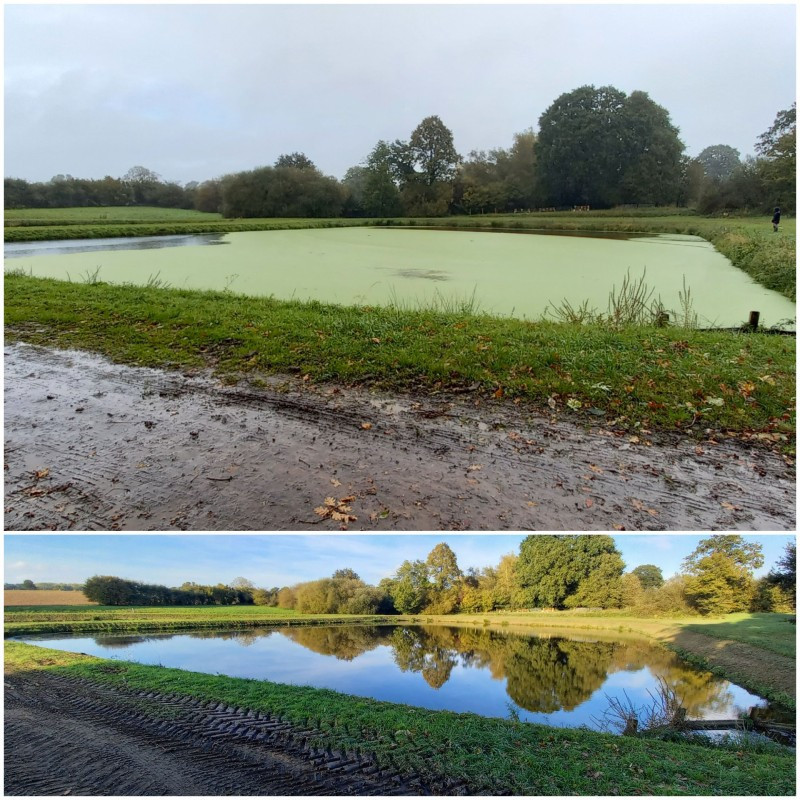 Prestation Aspilentilles (AVANT / APR&Egrave;S) pour une lagune de 2750 m&sup2;