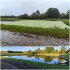 Prestation Aspilentilles (AVANT / APR&Egrave;S) pour une lagune de 2750 m&sup2;