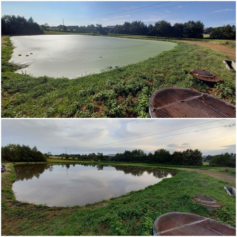 Prestation Aspilentilles (AVANT / APR&Egrave;S) pour une lagune de 2500 m&sup2;