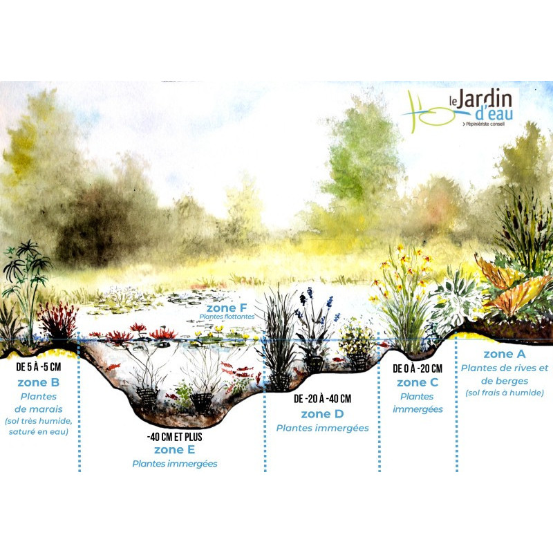 Zones et profondeurs de plantation