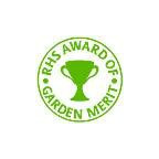 THALICTRUM delavayi THALICTRUM delavayi