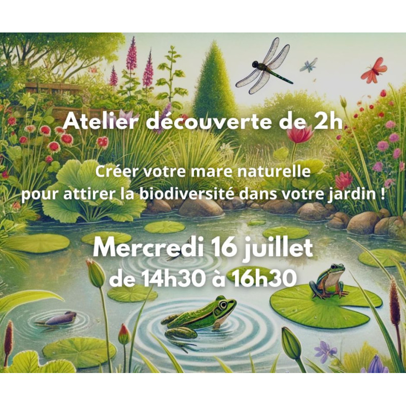 Atelier mare naturelle - mercredi 16 juillet 2025 Atelier mare naturelle - mercredi 16 juillet 2025