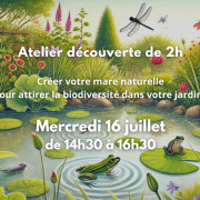 Atelier mare naturelle - mercredi 16 juillet 2025