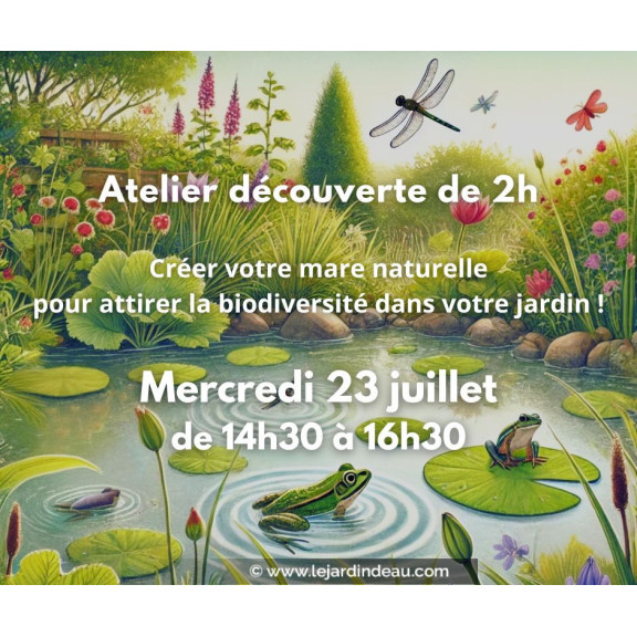 Atelier mare naturelle - mercredi 23 juillet 2025