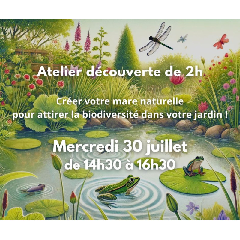Atelier mare naturelle - mercredi 30 juillet 2025 Atelier mare naturelle - mercredi 30 juillet 2025