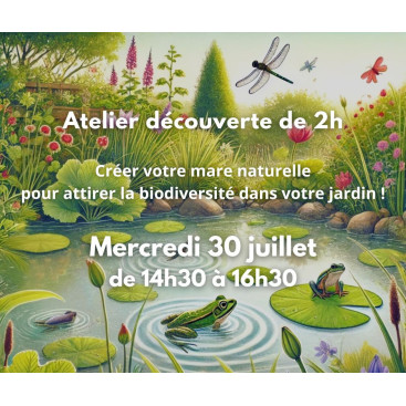 Atelier mare naturelle - mercredi 30 juillet 2025