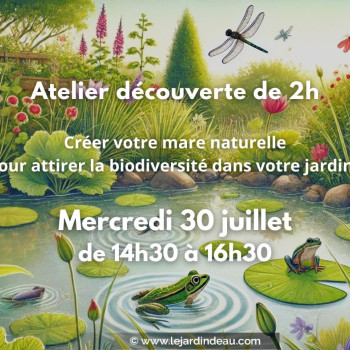 Atelier mare naturelle - mercredi 30 juillet 2025