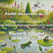 Atelier mare naturelle - mercredi 30 juillet 2025