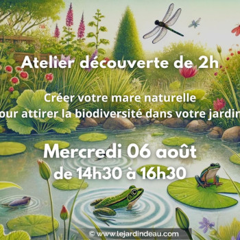 Atelier mare naturelle - mercredi 06 août 2025