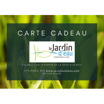 Carte cadeau en ligne