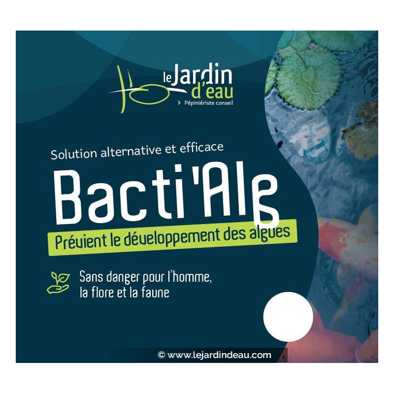 BactiAlg'