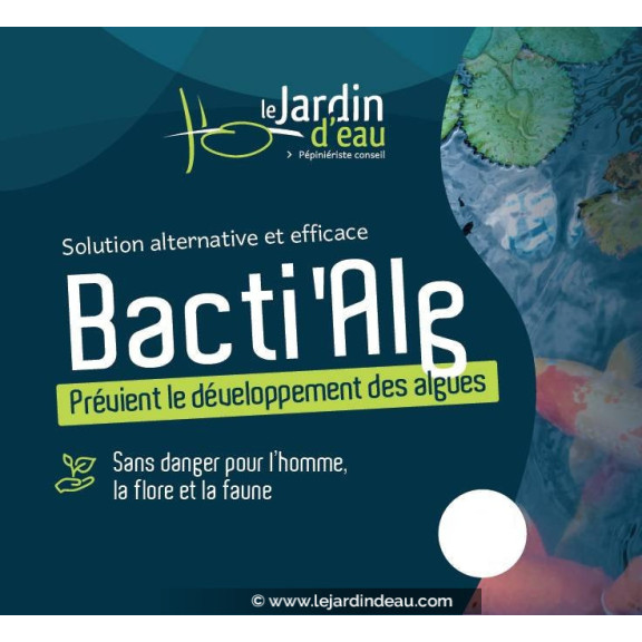 BactiAlg'