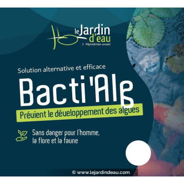 BactiAlg\'