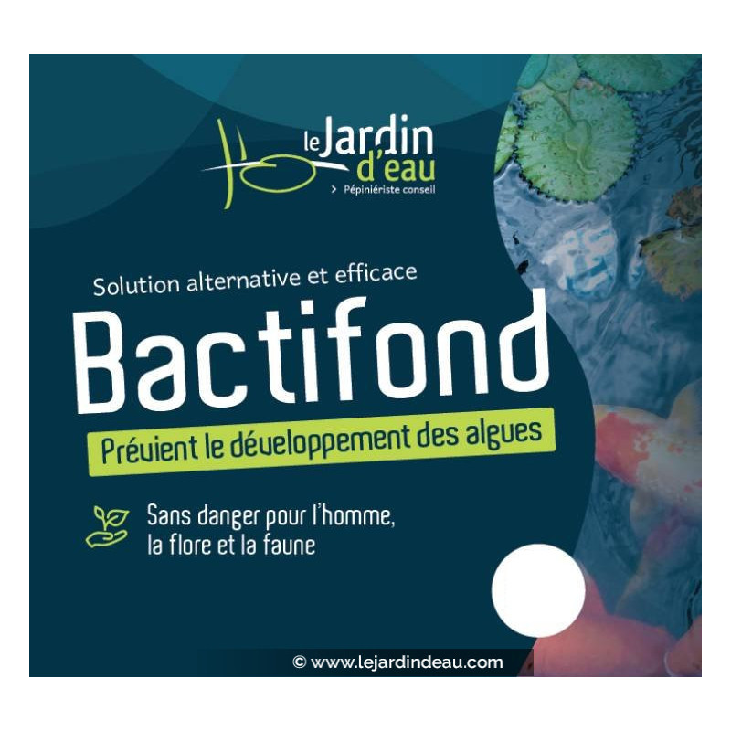 Bactifond