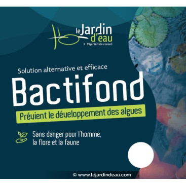 Bactifond