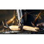 conditionn&eacute; en rhizome - disponible &agrave; la vente et exp&eacute;diable uniquement du 15 avril au 15 mai