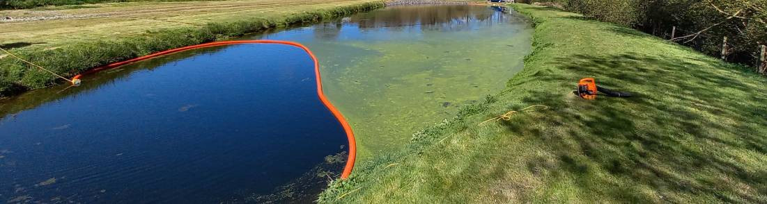 Traitement algues, vase et lentilles