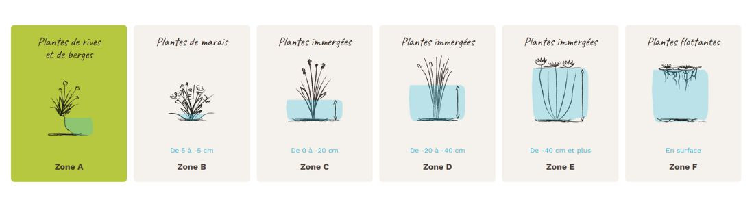 Plantes zone A