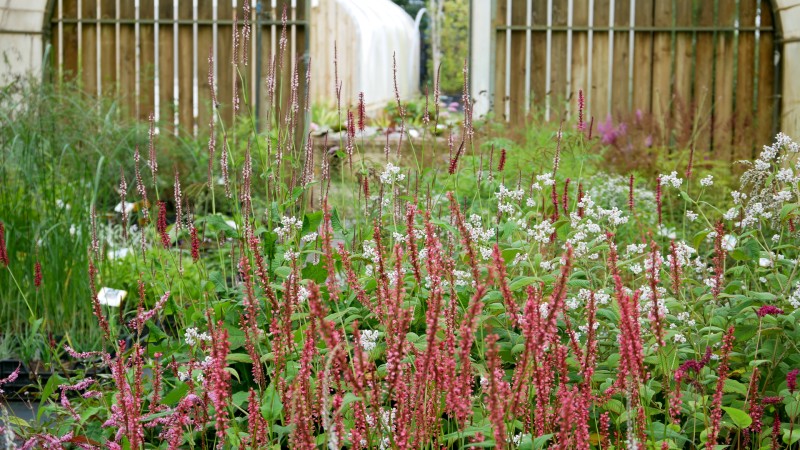 Ombrière - le Jardin d'eau