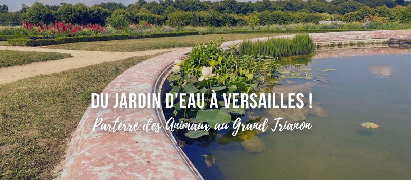 Du Jardin d'eau &agrave; Versailles : Parterre des Animaux au Grand Trianon !