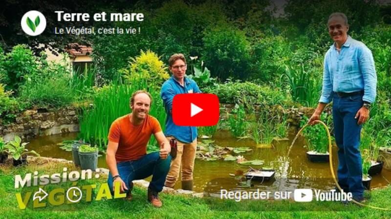 Mission V&eacute;g&eacute;tal sur M6 - &eacute;pisode "Terre et mare"